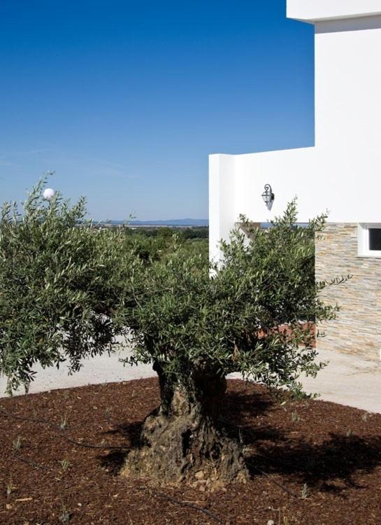 Hotel Quinta Dos Bastos Evora Exterior photo
